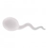 Stress Sperms